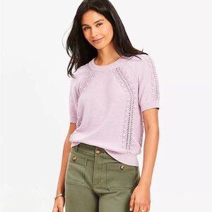 NWT Loft Bobble Knit Sweater - Petite XS